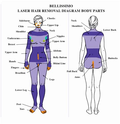 laser hair removal areas of body